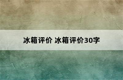 冰箱评价 冰箱评价30字